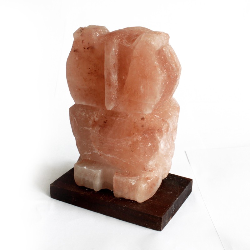 Animal Salt Lamp- Owl-HIMALAYAN SALT LAMPS-HOSTENATURA