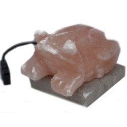 Lampada di sale dell'Himalaya a forma di rospo USB (Multi)