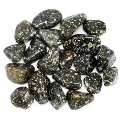 African Gemstone Guinea Fowl 20 units