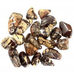 African Gemstone - Nguni 20 units