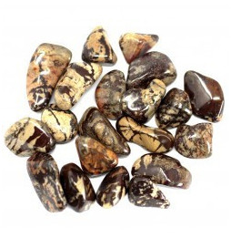 Piedra preciosa africana - Nguni 20 unidades