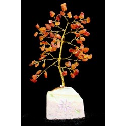 Carnelia- 80 Stone Indian Gem Tree