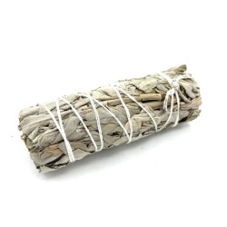 Grass Bundle - White Sage 10cm