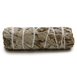 Grass Bundle - White Sage 10cm