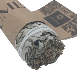 Grass Bundle - White Sage 10cm