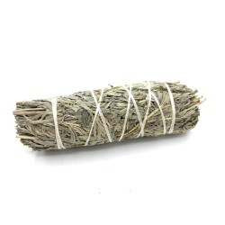 Bundle of Grass - Blue Sage 10 cm