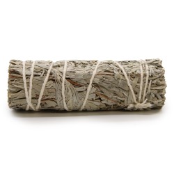 Bundle of Grass - Blue Sage 10 cm