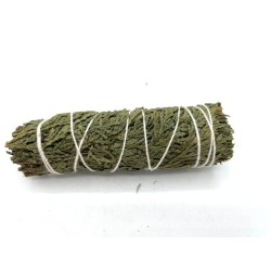 Grass Bundle - Mini Loosec Cedar - 11 cm