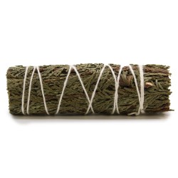 Grass Bundle - Mini Loosec Cedar - 11 cm