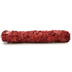 Belar sorta - Dragon's Blood Sage 22,5 cm