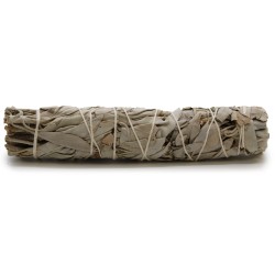 Bundle of Grass - White Sage 15cm