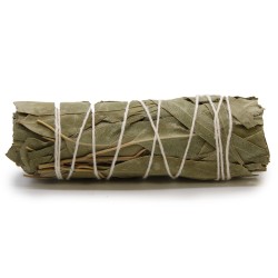 Bundle of Grass - White Sage and Eucalyptus 10 cm