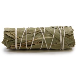 Bundle of Grass - White Sage and Eucalyptus 10 cm