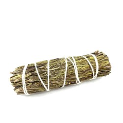 Bundle of Grass - Rosemary Sage 10 cm