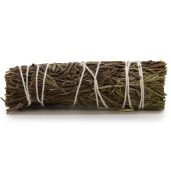 Bundle of Grass - Rosemary Sage 10 cm