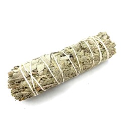 Bundle of Grass - White Sage and Blue Sage 10cm