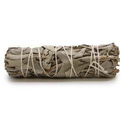 Bundle of Grass - Sleepy Sage 10cm