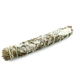 Grass Bundle - White Sage and Cedar 22 cm