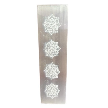Placa de Càrrega per a Barra Plana 15cm - Mandala