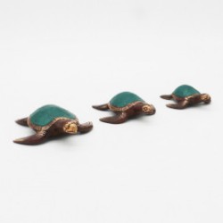 Tortugues Marines - Set de 3