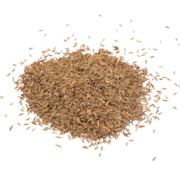 Alcaravea (en grano) Caraway (grain) 1Kg