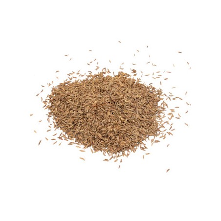 Carvi (grain) Carvi (grain) 1Kg