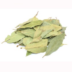 Ganzes Blatt 250gr