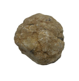 Geodas de calcita coloreada - Piedra Natural - Morado & Oro