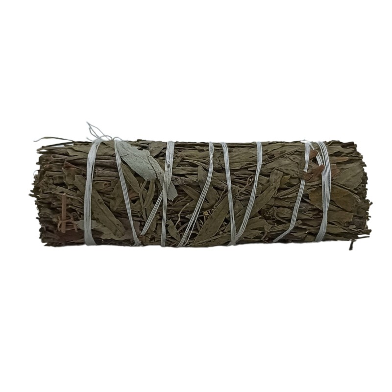 Bundle of Grass - White Sage and Pirul Foliage-HERBAL STICKS-HOSTENATURA