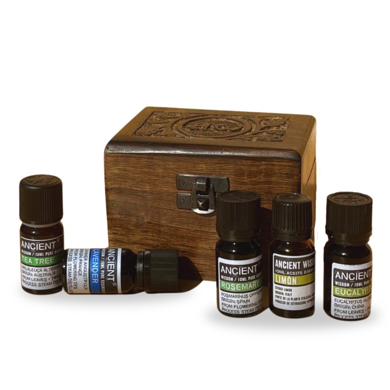 AROMATHERAPIE-SET (HOLZKISTE UND 6 ÄTHERISCHE ÖLE)-GESCHENKSET-HOSTENATURA