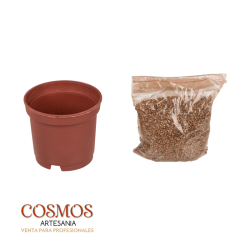 LUCKY CLOVER IN VASO DE PLASTIC TRIFOI 4 FOZE KIT