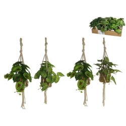 PLANT-SEAWEED POT TO HANG 55CM (PRICE PER UNIT) PLASTIC