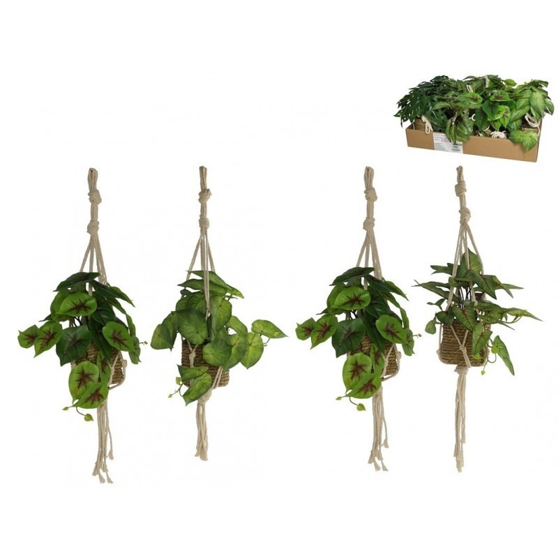 PLANT-SEAWEED POT TO HANG 55CM (PRICE PER UNIT) PLASTIC-FLOORS-HOSTENATURA