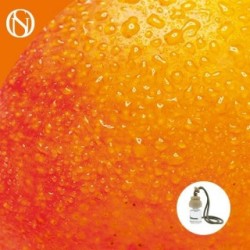 DEODORANTE PER AUTO MANGO ARTIGIANALE DI PRIMA QUALITÀ Tappo in legno con aroma di mango da 7 ml