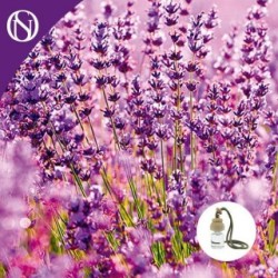 EERSTE KWALITEIT ARTISAN LAVENDEL AUTO LUCHTVERFRISSER 7ml Lavendel Aroma Houten Dop