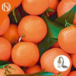 AMBIENTADOR COTXE MANDARINA ARTESÀ PRIMERA QUALITAT 7ml Aroma a Mandarina Tap de Fusta