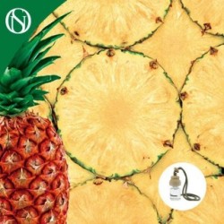 ODIZANT AUTO ANANAS DE PRIMA CALITATE 7ml Capac din lemn cu aroma de ananas