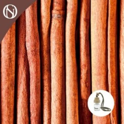 ARTISAN CINNAMON CAR AIR FRESHENER FIRST QUALITY 7ml Cinnamon Aroma Wooden Stopper