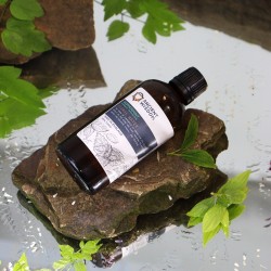 Acqua Floreale Alla Menta 100ml