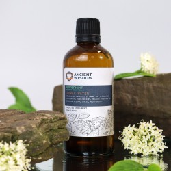 Acqua Floreale Alla Menta 100ml