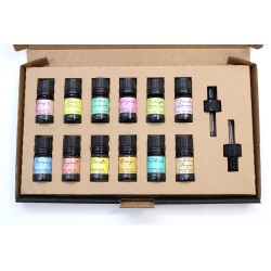 Aromatherapie-Set mit ätherischen Ölen - Top 12 - Aromatherapie-Set