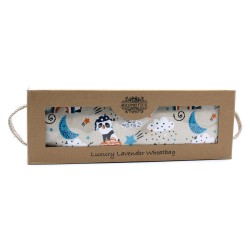 Bolsa de Trigo de Lavanda en Caja de Regalo - Panda Soñoliento - 1