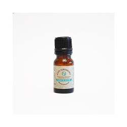 NIGHT LADY ESSENCE ÓLEO HIDROSSOLÚVEL PURO CONCENTRADO 10ml