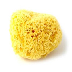 NATURAL MEDITERRANEAN SEA SPONGE 9 to 10 cm