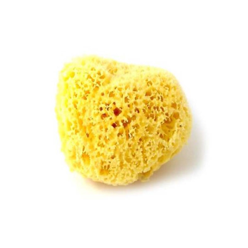 NATURAL MEDITERRANEAN SEA SPONGE 9 to 10 cm-BATH SPONGES-HOSTENATURA