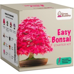 BONSAI START KIT - 4 DIVERSI TIPI - COLTIVA IL TUO BONSAI - COLTIVA IL BUDDHA