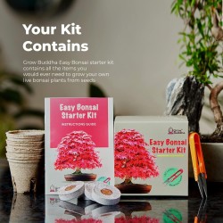 BONSAI STARTER KIT - 4 DIFFERENT TYPES - GROW YOUR BONSAI - GROW BUDDHA