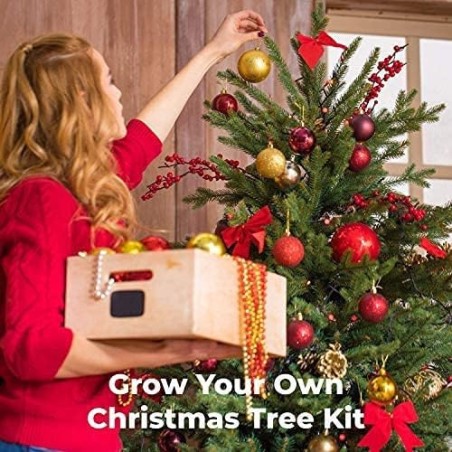 BAUE DEINEN WEIHNACHTSBAUM STARTER KIT AN - GROW BUDDHA