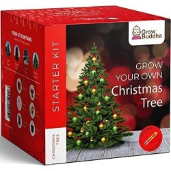 GROW YOUR CHRISTMAS TREE STARTER KIT - GROW BUDDHA