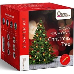 GROW YOUR CHRISTMAS TREE STARTER KIT - GROW BUDDHA